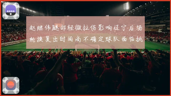 赵继伟腿部轻微拉伤影响辽宁后场轮换复出时间尚不确定球队面临挑战